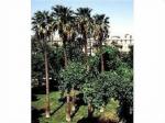 Holidays at Sofitel Winter Palace Luxor Hotel in Luxor, Egypt