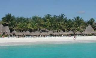 Photograph of Las Palapas Hotel