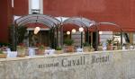 Cala Sant Vicenc Hotel Picture 7