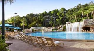 Photograph of Walt Disney World Dolphin Hotel