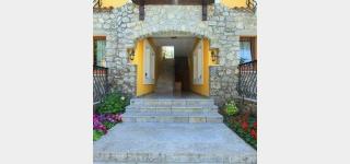 Photograph of Olive Tree Studio Hotel