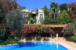 Photograph of Zeytinada Hotel