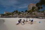 Aruba Phoenix Beach Resort Hotel Picture 55