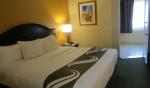 Quality Suites Near Orange County Convention Center Picture 3