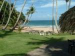 Tambora Beach Suites Picture 5