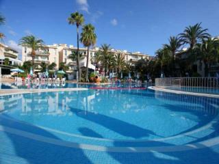 Book Puerto Azul Suite Hotel online