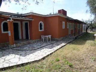 Photograph of Katia Studios