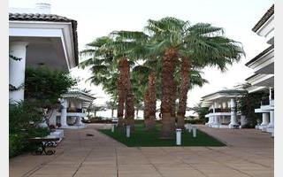 Book Dessole Seti Sharm Palm Beach Resort Hotel online