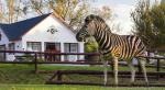 Zulu Nyala Country Manor Hotel Picture 25