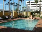 Wyndham Tampa Westshore Hotel Picture 4