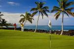 Hilton Grand Vacations At Waikoloa Beach Resort Hotel Picture 6