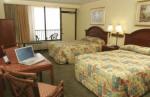 La Playa Resort and Suites Hotel Picture 5