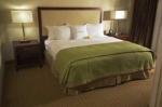 Doubletree Guest Suites Tampa Bay Hotel Picture 3