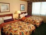 Embassy Suites Tampa Near Busch Gardens Hotel Picture 2