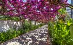Alaiye Resort & Spa Hotel Picture 10