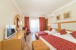 Alaiye Resort & Spa Hotel Picture 5