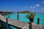 Komandoo Maldive Island Resort Picture 2
