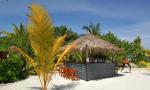 Komandoo Maldive Island Resort Picture 16