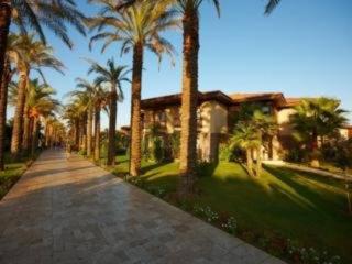 Photograph of Iberotel Palm Garden Hotel