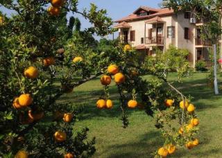 Photograph of Yonca Lodge Boutique Hotel