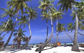 Photograph of Arena Lodge Maldives Hotel