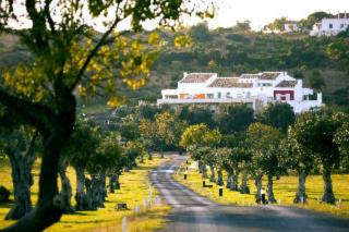 Photograph of Vila Valverde Design and Country Hotel