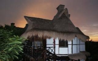 Photograph of Green Tulum Cabanas and Gardens
