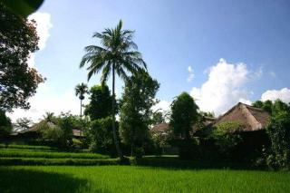 Photograph of Ananda Cottages