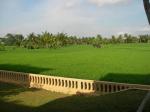Green Field Hotel and Bungalows Picture 5