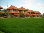 Green Field Hotel and Bungalows Picture 19