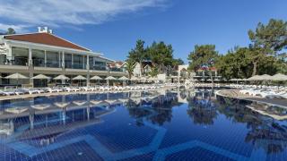 Photograph of Asteria Eros Didim