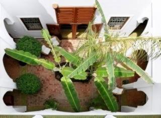 Photograph of Riad Les Bougainvilleirs