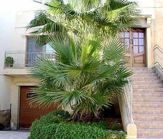 Photograph of Villa Dar Ta Jeffrey