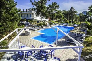 Photograph of Pine Trees Art Hotel