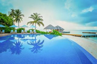 View rates for Amaya Kuda Rah